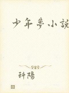 少年梦小说