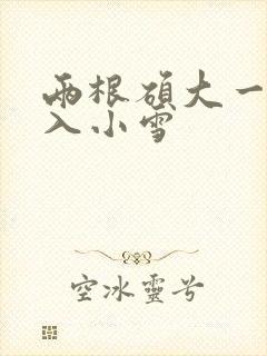 两根硕大一起挤入小雪