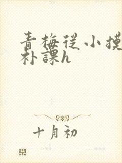 青梅从小摸到大补课h