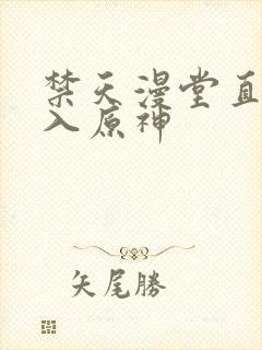 禁天漫堂直接进入原神