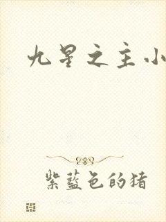 九星之主小说