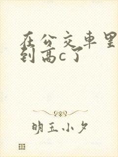 在公交车里c弄到高c了