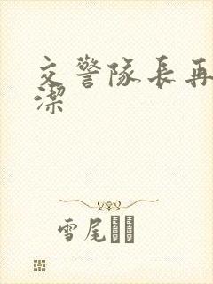 交警队长再遇白洁