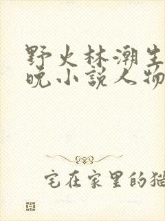野火林潮生林晚晚小说人物野火