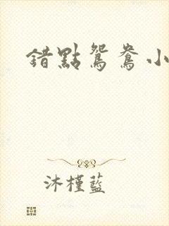 错点鸳鸯小说