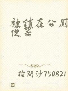 被锁在公厕当坐便器