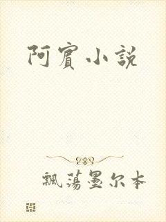 阿宾小说