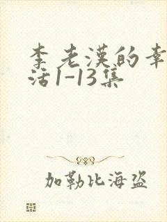 李老汉的幸福生活1-13集