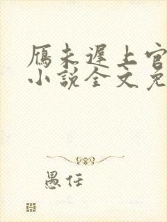 雁未迟上官穿越小说全文免费阅读