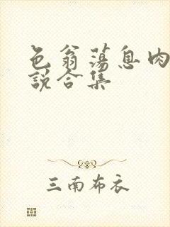 色翁荡息肉欲小说合集