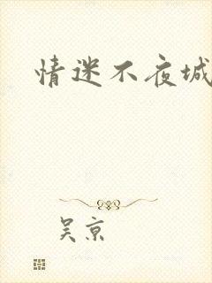 情迷不夜城