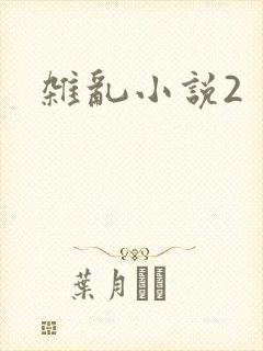 杂乱小说2