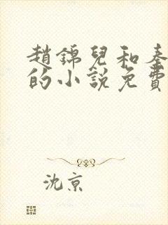 赵锦儿和秦慕修的小说免费阅读全文