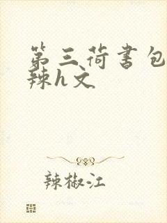 第三荷书包网高辣h文