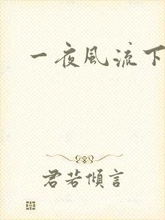 一夜风流下载