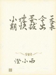 小坏蛋今天危险期快拔出来