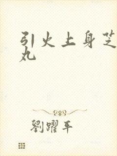 引火上身芝麻糖丸