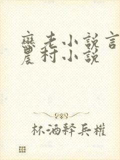 恋老小说言情网农村小说