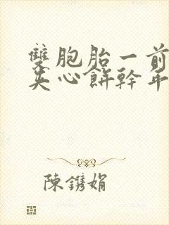 双胞胎一前一后夹心饼干年下