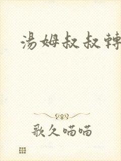 汤姆叔叔转接口