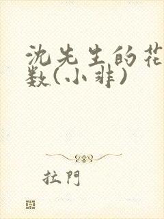 沈先生的花式调数(小非)