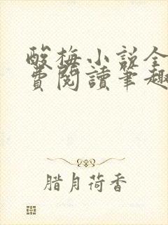 酸梅小说全文免费阅读笔趣阁