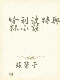 哈利波特与火焰杯小说