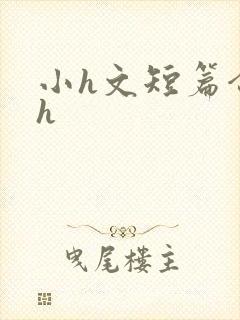 小h文短篇合集h