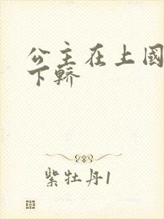 公主在上国师请下轿