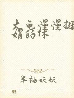 大龟慢慢挺进张娟的休