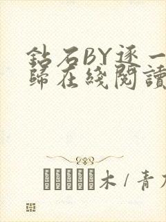 钻石BY逐一而归在线阅读