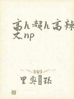 高h超h高辣h文np