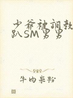 少爷被调教室跪趴SM男男