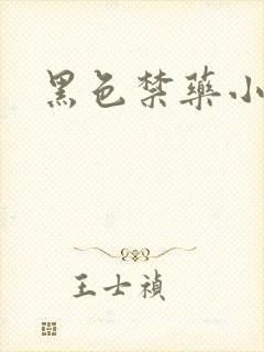 黑色禁药小说