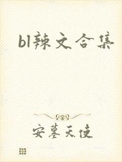 bl辣文合集
