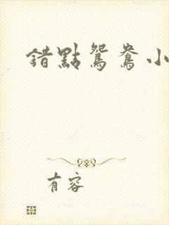 错点鸳鸯小说