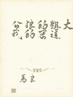 公狼的粗大挺进我的密道