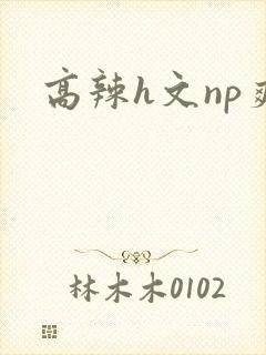 高辣h文np爽