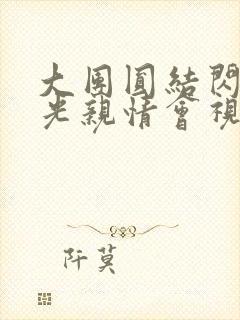 大团圆结闪闪发光亲情会视频