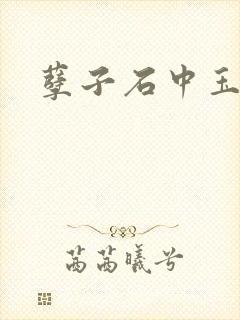 孽子石中玉