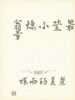 翁熄小莹最新节章