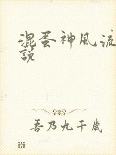 混蛋神风流史小说