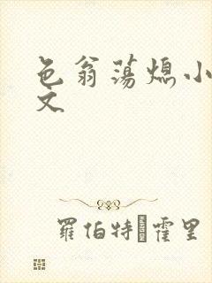 色翁荡熄小说全文