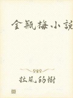 金瓶梅小说下载