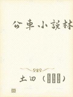 公车小说林蔓蔓