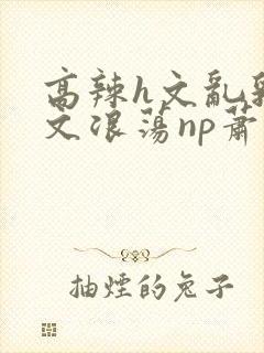 高辣h文乱乳h文浪荡np萧太后