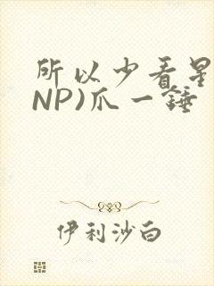所以少看星辰(NP)爪一锤