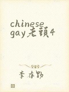 chinesegay老头4