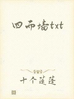 四面墙txt