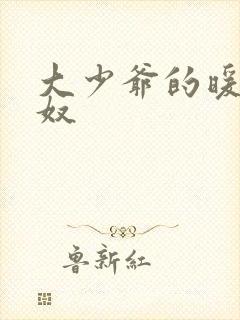 大少爷的暖床小奴